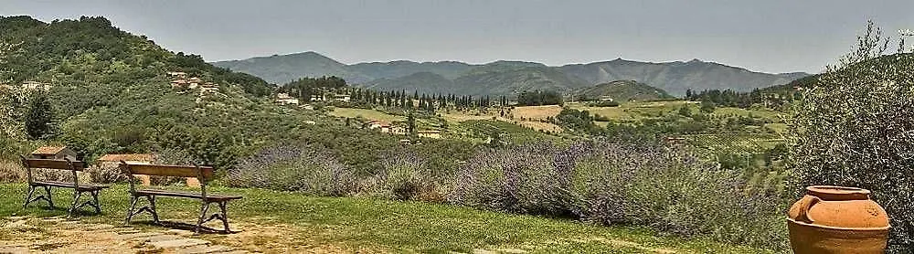 Suite Accommodation Mastiano